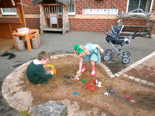 Water fun - Finding out about sea creatures.